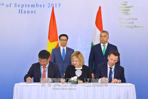 Diễn đàn Doanh nghiệp Việt Nam - Hungary ảnh 4